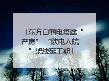 东方白鹳电塔建“产房” “陕电入皖”架线延工期