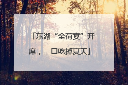 东湖“全荷宴”开席，一口吃掉夏天