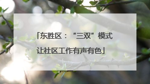 东胜区：“三双”模式让社区工作有声有色