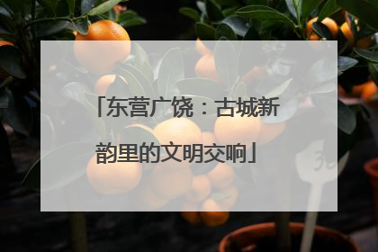 东营广饶：古城新韵里的文明交响