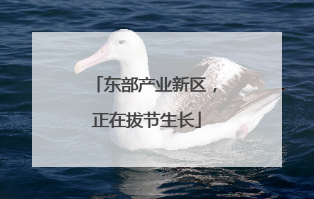 东部产业新区，正在拔节生长