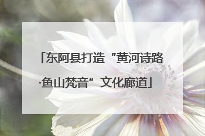 东阿县打造“黄河诗路·鱼山梵音”文化廊道