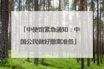 中使馆紧急通知：中国公民做好撤离准备