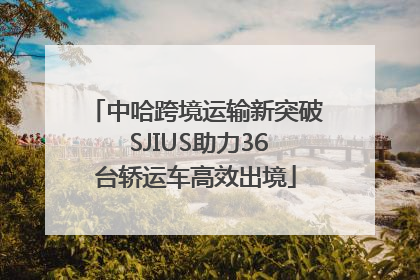 中哈跨境运输新突破 SJIUS助力36台轿运车高效出境