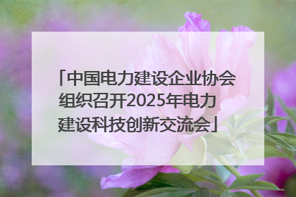 中国电力建设企业协会组织召开2025年电力建设科技创新交流会