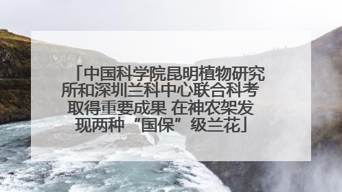 中国科学院昆明植物研究所和深圳兰科中心联合科考取得重要成果 在神农架发现两种“国保”级兰花
