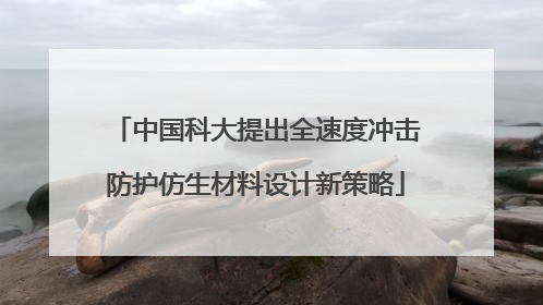 中国科大提出全速度冲击防护仿生材料设计新策略