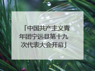 中国共产主义青年团宁远县第十九次代表大会开幕