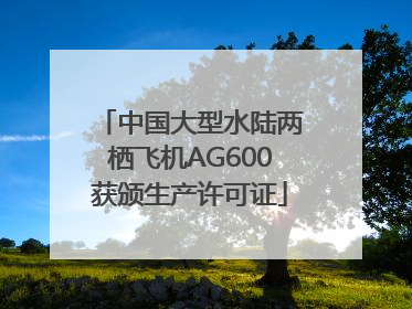 中国大型水陆两栖飞机AG600获颁生产许可证