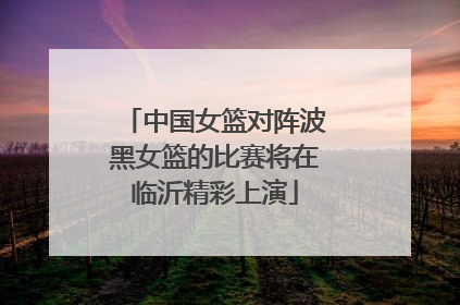 中国女篮对阵波黑女篮的比赛将在临沂精彩上演