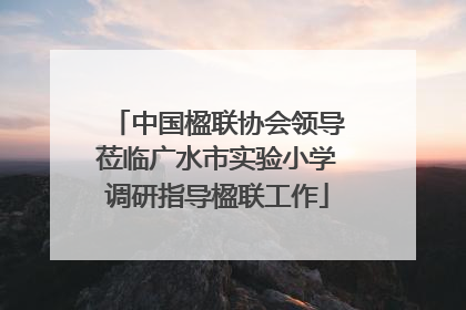 中国楹联协会领导莅临广水市实验小学调研指导楹联工作