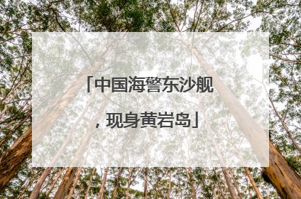 中国海警东沙舰，现身黄岩岛