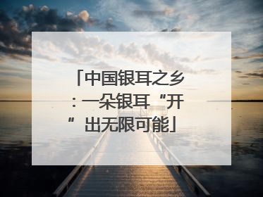 中国银耳之乡：一朵银耳“开”出无限可能