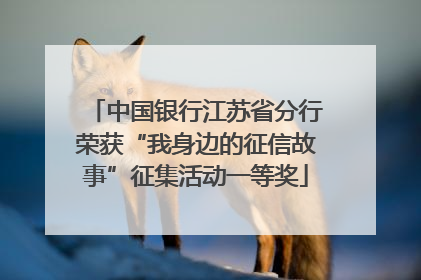 中国银行江苏省分行荣获“我身边的征信故事”征集活动一等奖