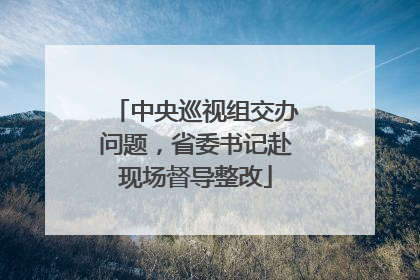 中央巡视组交办问题，省委书记赴现场督导整改