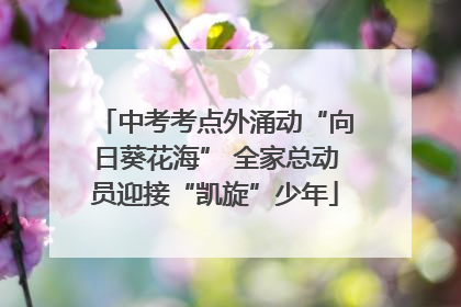 中考考点外涌动“向日葵花海” 全家总动员迎接“凯旋”少年