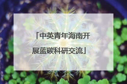 中英青年海南开展蓝碳科研交流