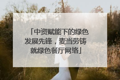 中资赋能下的绿色发展先锋，麦当劳铸就绿色餐厅网络