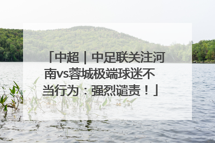 中超｜中足联关注河南vs蓉城极端球迷不当行为：强烈谴责！