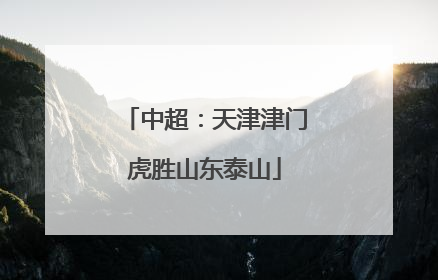 中超：天津津门虎胜山东泰山