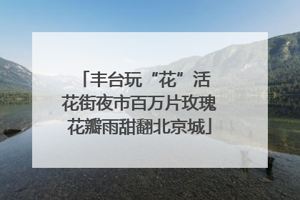 丰台玩“花”活 花街夜市百万片玫瑰花瓣雨甜翻北京城