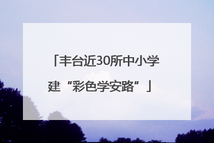 丰台近30所中小学建“彩色学安路”