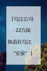 乌江公司：22万尾鱼苗在乌江“安家”