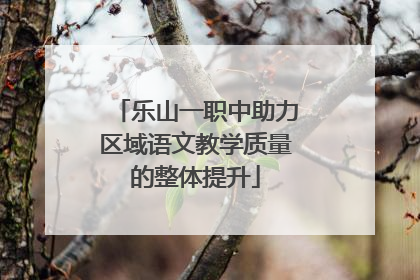 乐山一职中助力区域语文教学质量的整体提升