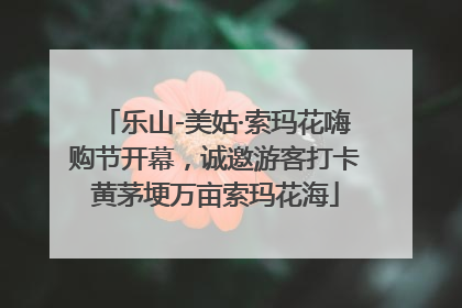 乐山-美姑·索玛花嗨购节开幕，诚邀游客打卡黄茅埂万亩索玛花海