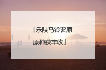 乐陵马铃薯原原种获丰收