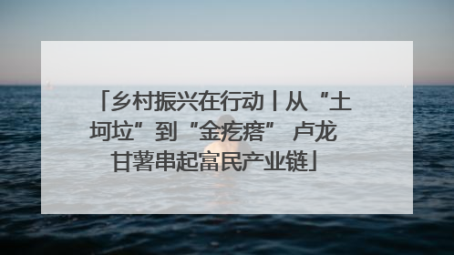 乡村振兴在行动丨从“土坷垃”到“金疙瘩” 卢龙甘薯串起富民产业链