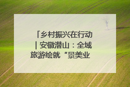 乡村振兴在行动｜安徽潜山：全域旅游绘就“景美业兴民富”新画卷