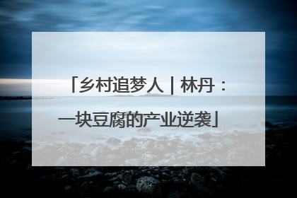 乡村追梦人｜林丹：一块豆腐的产业逆袭