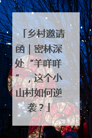 乡村邀请函｜密林深处“羊咩咩”，这个小山村如何逆袭？