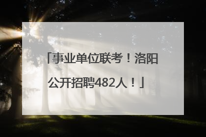 事业单位联考！洛阳公开招聘482人！