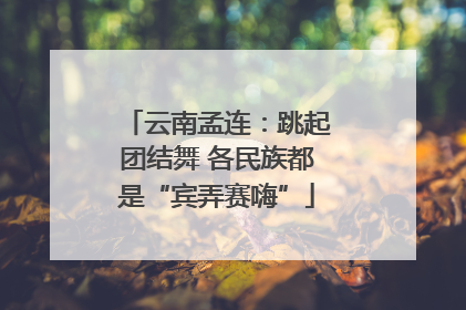云南孟连：跳起团结舞 各民族都是“宾弄赛嗨”