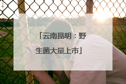 云南昆明：野生菌大量上市