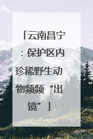 云南昌宁：保护区内珍稀野生动物频频“出镜”