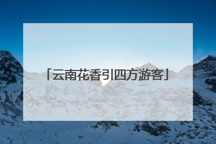 云南花香引四方游客