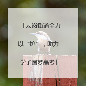 云岗街道全力以“护”，助力学子圆梦高考