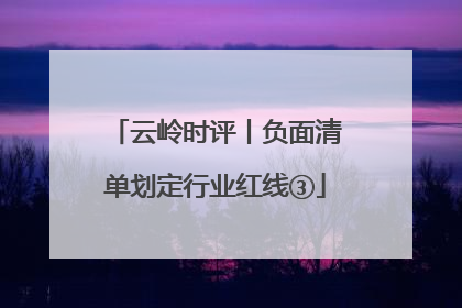 云岭时评丨负面清单划定行业红线③