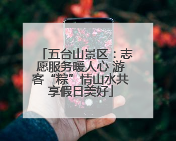 五台山景区：志愿服务暖人心 游客“粽”情山水共享假日美好