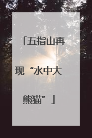 五指山再现“水中大熊猫”
