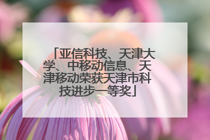 亚信科技、天津大学、中移动信息、天津移动荣获天津市科技进步一等奖