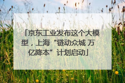 京东工业发布这个大模型，上海“链动众城 万亿降本”计划启动
