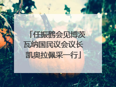 任振鹤会见博茨瓦纳国民议会议长凯奥拉佩采一行
