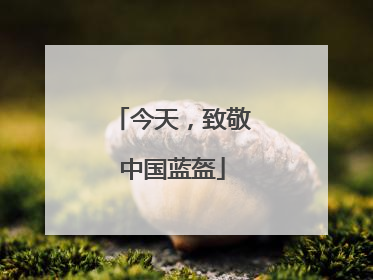 今天，致敬中国蓝盔