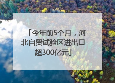 今年前5个月，河北自贸试验区进出口超300亿元