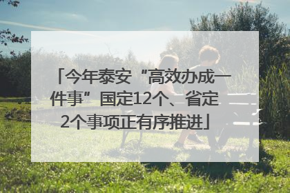 今年泰安“高效办成一件事”国定12个、省定2个事项正有序推进