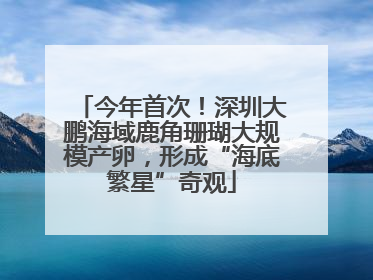 今年首次！深圳大鹏海域鹿角珊瑚大规模产卵，形成“海底繁星”奇观